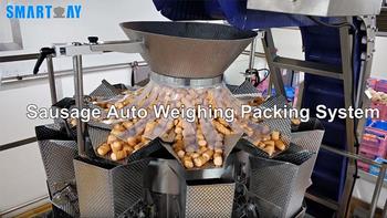 Smart Weigh SW-PL6 Premade Bag Packing System