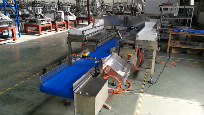 SW-LC18 Fish weigher.2.jpg