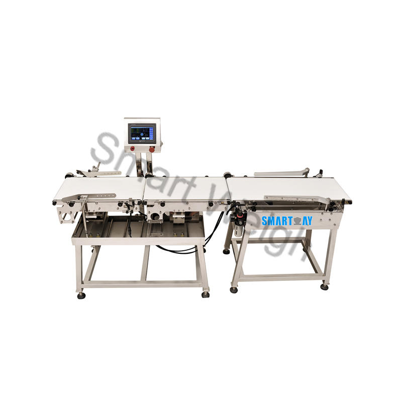 Smart Weigh SW-C220 Checkweigher