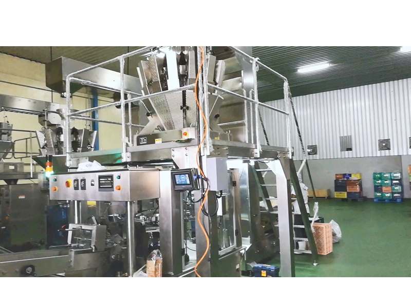 Automatic Dehydrated Mango Chips Packaging Machine