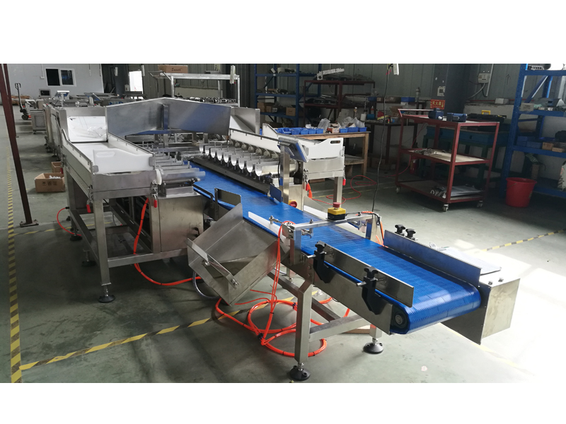 SW-LC18 Fish Weigher 18 Head Linear Combination Weigher
