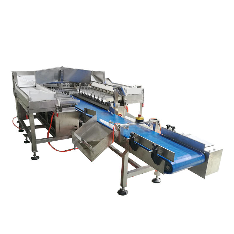 SW-LC18 Fish Weigher 18 Head Linear Gotting Weigher